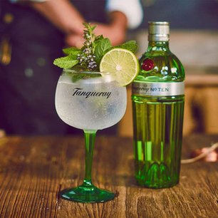 Tanqueray Gin And Tonic Recipe