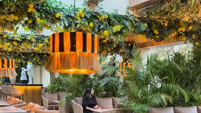Mestizo Delhi Restaurant