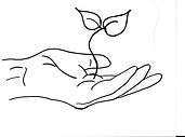hand n seedling 001 (1).jpg