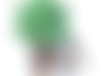 Senza il conteggio cellulare è come guidare a fari spenti nella notte