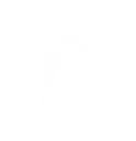 Concerts.png