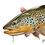 Thumbnail: "Lunker Alley" Greeting Card Collection (12)