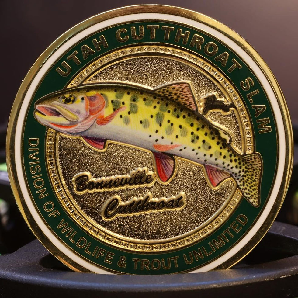 Thumbnail: Bonneville Cutthroat Trout