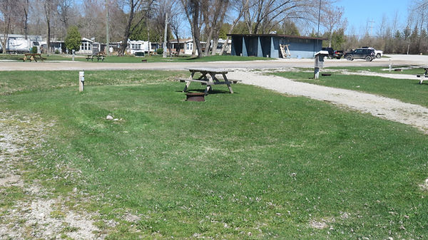 Site 209