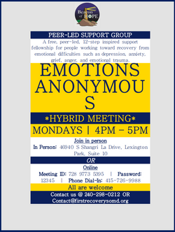 Emotions Anon (EA)