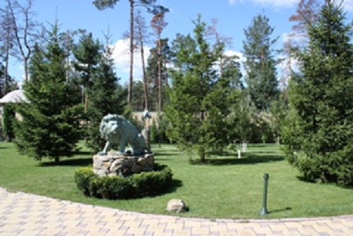 Прев'ю: Козин, котедж у сосновому лісі