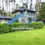 Thumbnail: Renting a house in a pine forest
