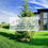 Thumbnail: Sale of a new house Kozin