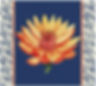 C39CD456-57DF-11F0-8B5B-742DD1908C71_edited