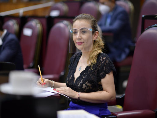 Las Abuelas Y Abuelos Son Fuente De Sabiduría: Diputada Nora Lagunes