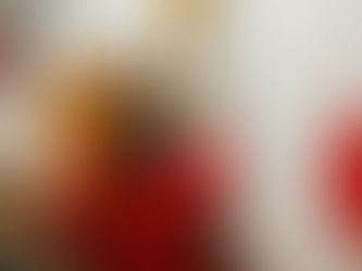 Excede Isabel Arvide presupuesto para fiestas de consulado en Turquía