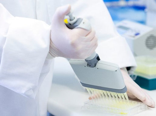 OMS anticipa hasta seis meses "muy duros" de pandemia