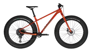 Fat bike