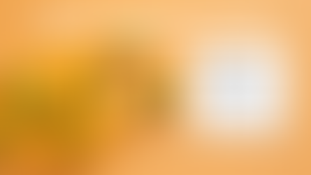 Foodblog erstellen und Foodblogger werden