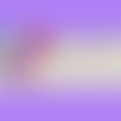 Website Footer- 13 Beispiele für effektives Footer Design Keramiken und Blume auf lila Hintergrund. Text: Avant Spaces, mit Menüoptionen und Kontaktinfos. Footer mit Newsletter-Anmeldung.