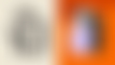 Transparente Logos – Was ist ein transparentes Logo und warum brauchst du es?