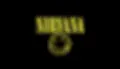 Nirvana Band Logo