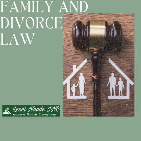 Navigating Family and Divorce Law with Leoni Naude Inc.