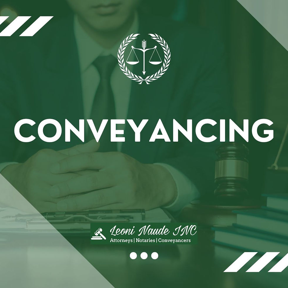 Leoni Naude Inc Attorneys