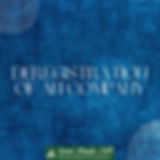 Leoni Naude Inc Attorneys