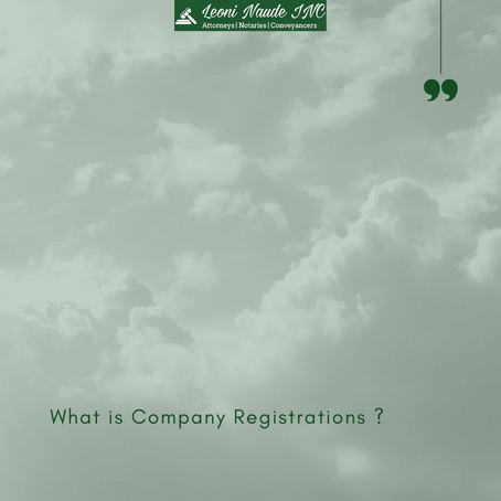 Navigating Company Registrations in South Africa: A Comprehensive Guide