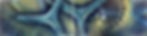 Inner-Outer Circles XV