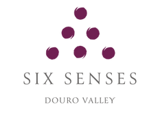 Logo SSDV_semFundo.png