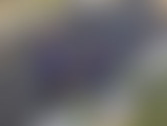 9월 17일 교회 소식