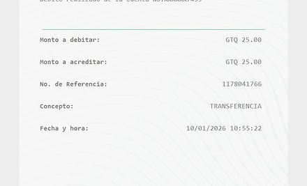 Ejemplo Boleta.jpg
