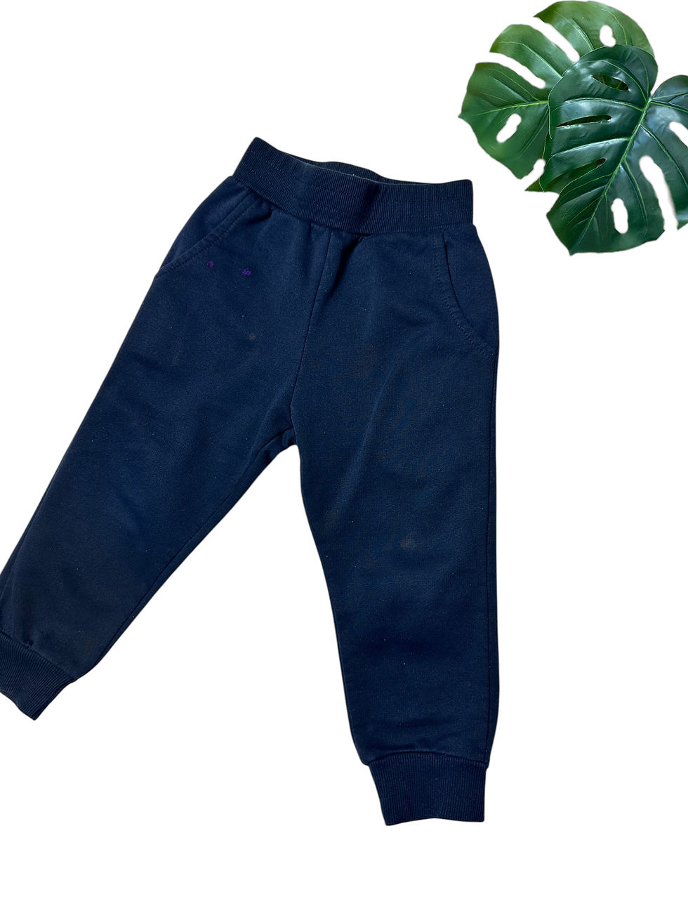 Miniatura: Deportivo Talle 2 