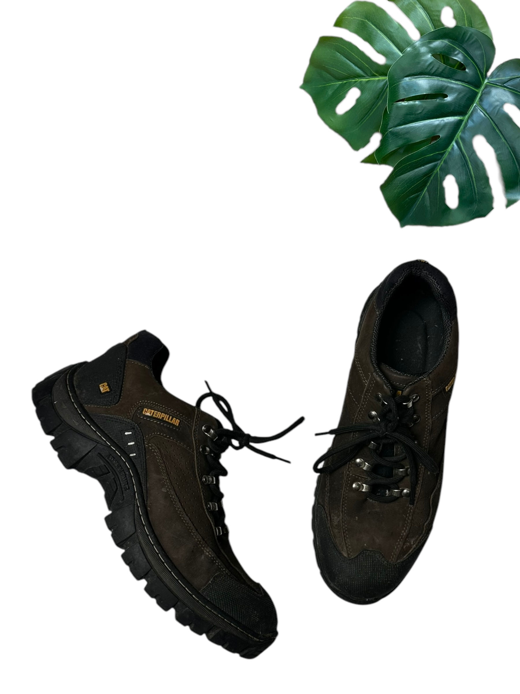 Championes CAT Talle 43 