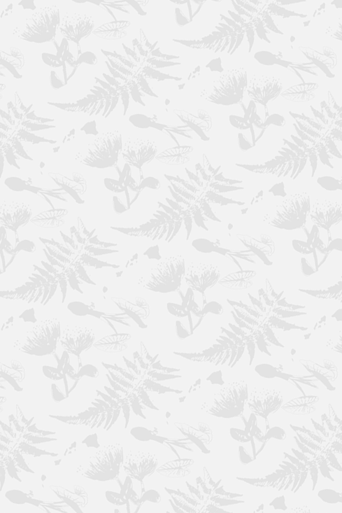 HMPS 2tone Light Gray - scaled2.png