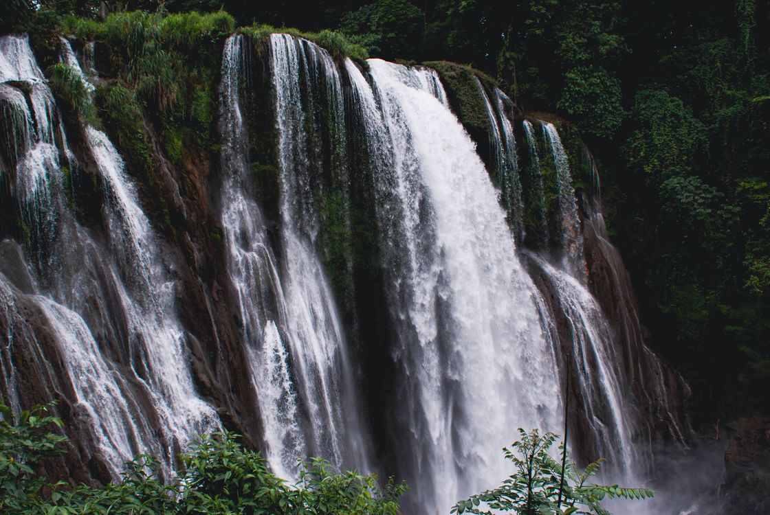 Forest landscape in Honduras