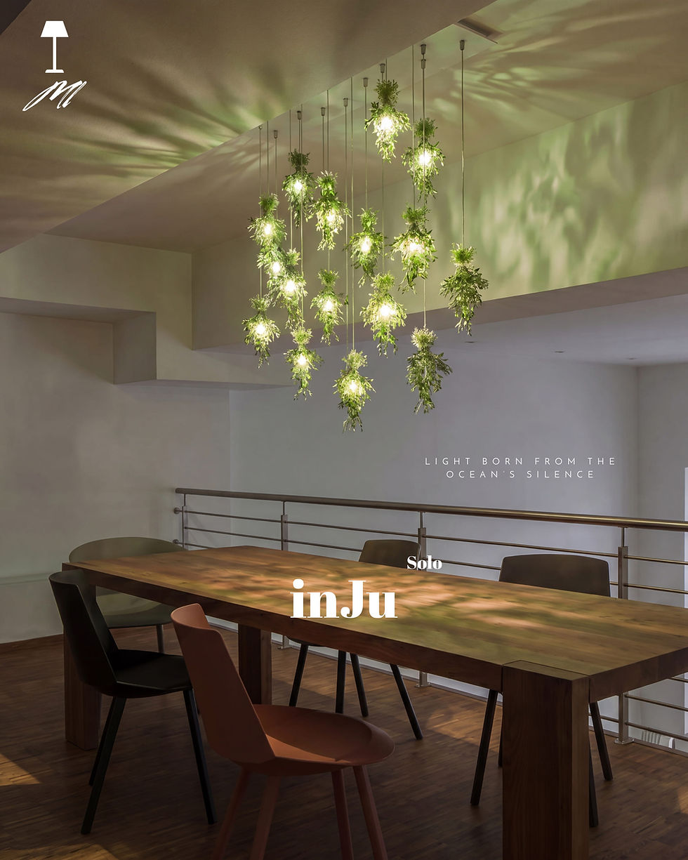 Миниатюра: inJu Solo