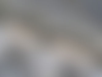 Website has finally been updated!