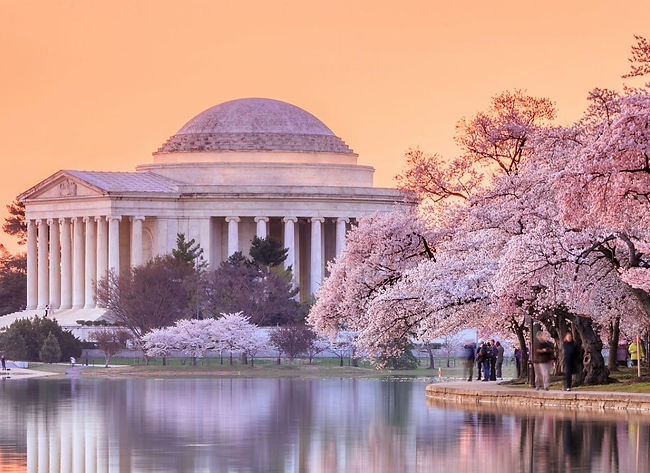 washington_header-42349.jpeg