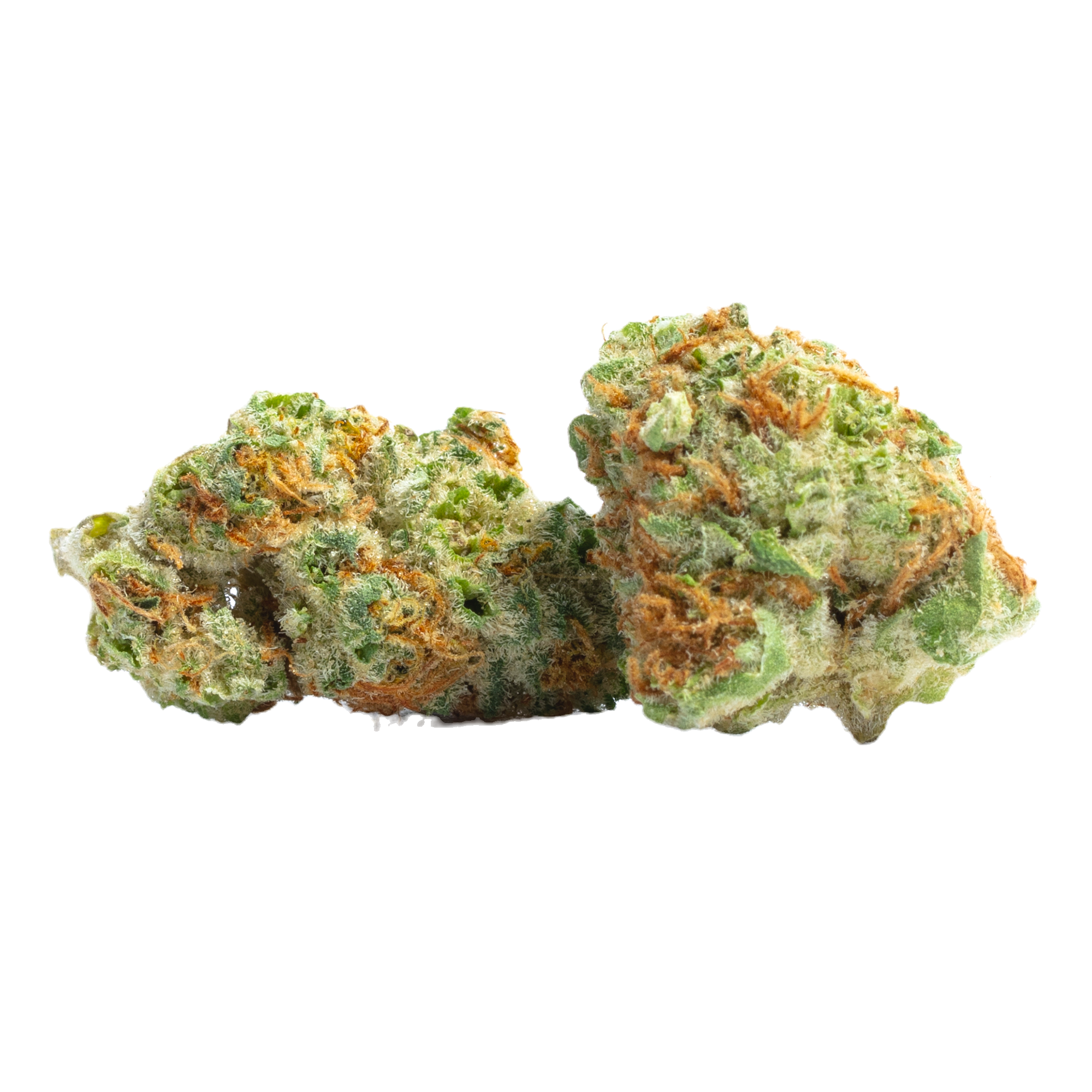 A+ Joints - L'Orange