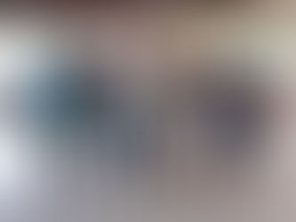 ELEIÇÃO DA NOVA DIRETORIA EXECUTIVA.