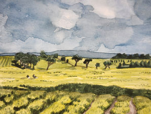 Tea Field, Kenya