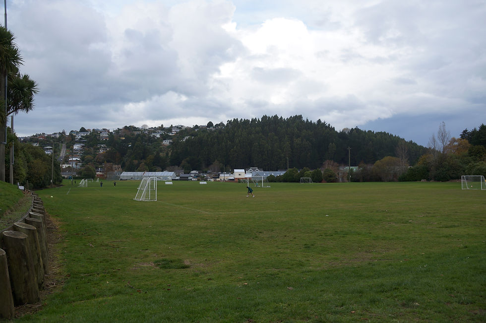 DSC07529