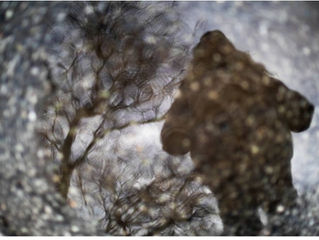 «Frøya» ble voldtatt av barne- og ungdomsarbeider – nå er mannen dømt