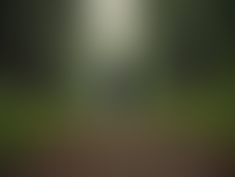 Simple Mindfulness Practices for Daily Life