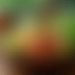 Essential Health and Wellness Tips for Everyday