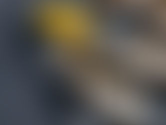 Deadly Flesh-Eating Bacteria in Oysters? Health Officials Sound the Alarm