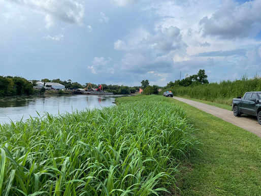 Houston Bayou Mystery: 12 Bodies Found in 2025, What’s Really Going On?