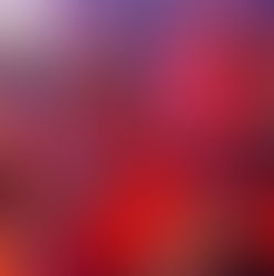 Wild night at The Game's 46th birthday bash in Hollywood crowd STUNNED!