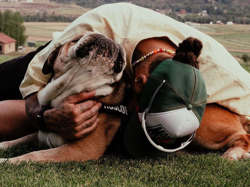 Lewis Hamilton’s Beloved Bulldog Roscoe Passes Away
