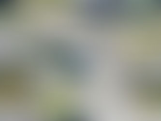 The Apalachee High School shooting