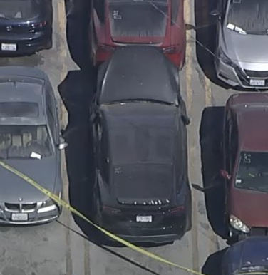 D4vd the Shocking Tesla Discovery