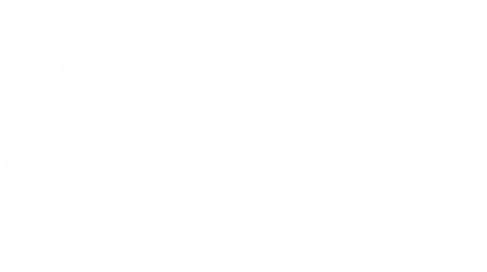 logo indepro